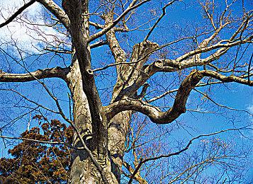 Steam发布10月最热新品榜单 《仙剑七》《暗影火炬城》上榜